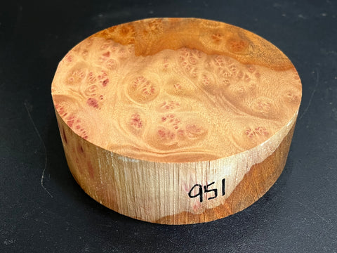 5"x2" Camphor Burl Wood Bowl Turning Blank (#00951)