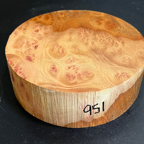 5"x2" Camphor Burl Wood Bowl Turning Blank (#00951)