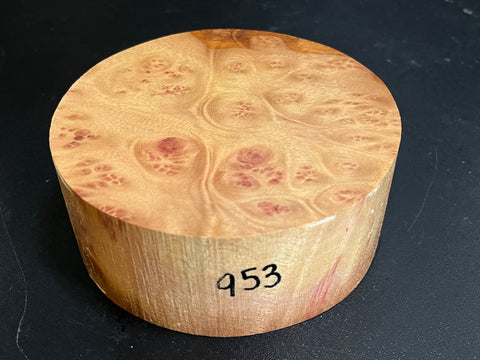 5"x2" Camphor Burl Wood Bowl Turning Blank (#00953)