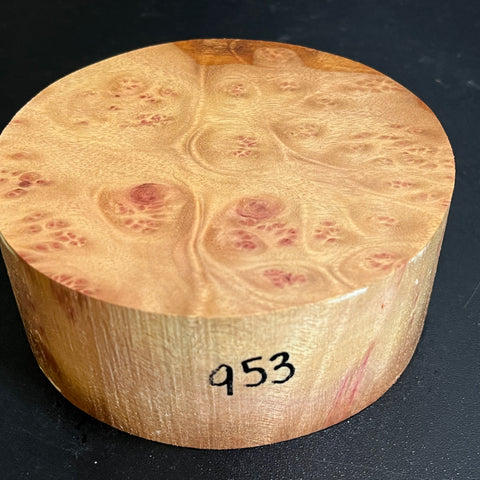 5"x2" Camphor Burl Wood Bowl Turning Blank (#00953)