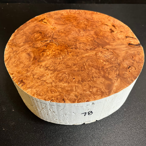 7.5x2.5 KD Maple Burl Wood Bowl Turning Blank (#0078)