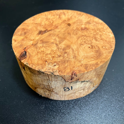 5"x2" KD Maple Burl Wood Bowl Turning Blank (#0081)