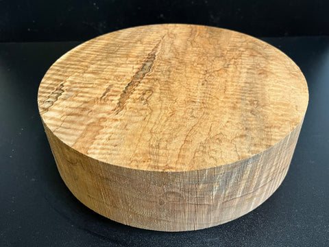 10"x3" Exhibition Grade KD Curly Maple Wood Spindle Turning Blank (#00978)