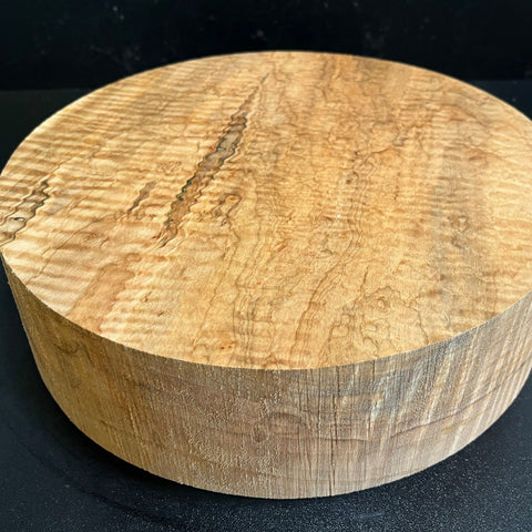 10"x3" Exhibition Grade KD Curly Maple Wood Spindle Turning Blank (#00978)