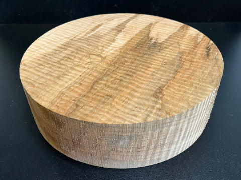 10"x3" Exhibition Grade KD Curly Maple Wood Spindle Turning Blank (#00979)