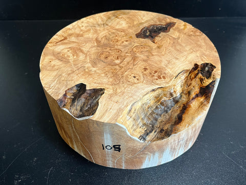 9x3.5 KD Maple Burl Wood Bowl Turning Blank (#00105)