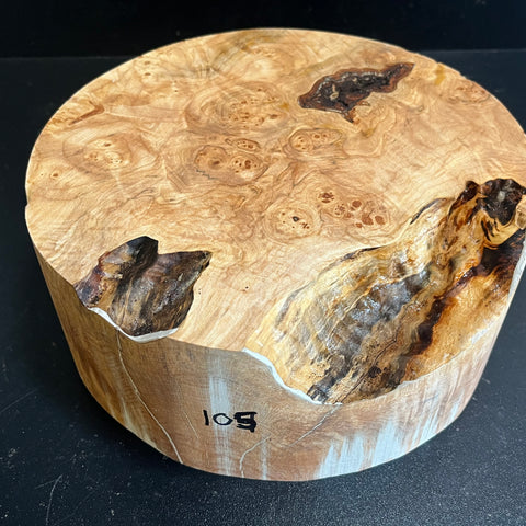 9x3.5 KD Maple Burl Wood Bowl Turning Blank (#00105)