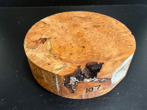 7.5x2 KD Maple Burl Wood Bowl Turning Blank (#00107)