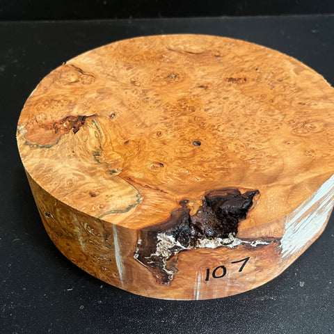 7.5x2 KD Maple Burl Wood Bowl Turning Blank (#00107)
