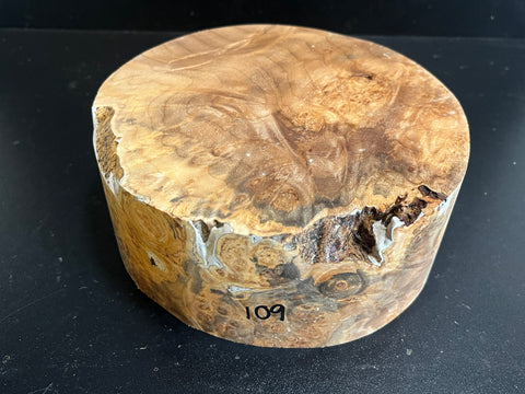 7"x3" KD Maple Burl Wood Bowl Turning Blank (#00109)