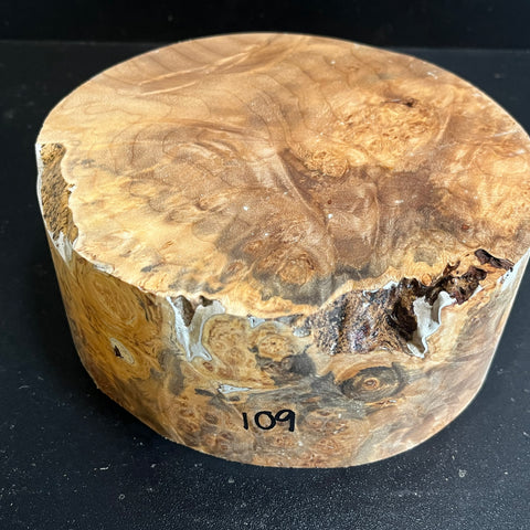7"x3" KD Maple Burl Wood Bowl Turning Blank (#00109)