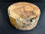 7"x3" KD Maple Burl Wood Bowl Turning Blank (#00109)