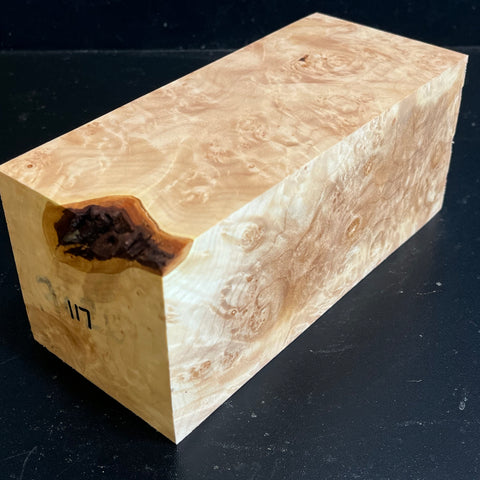 3"x3"x7.5" KD Maple Burl Wood Spindle Turning Blank (#00117)