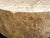 10"x3" KD Maple Burl Wood Bowl Turning Blank (#00117)