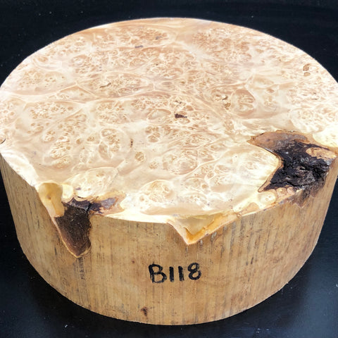 9"x3" KD Maple Burl Wood Bowl Turning Blank (#00118)