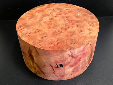 10"x5" Camphor Burl Wood Bowl Turning Blank (#001)