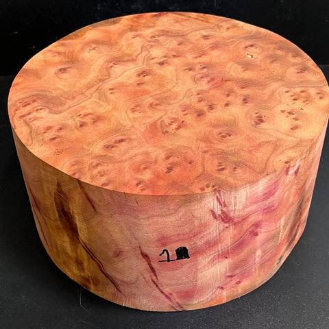 10"x5" Camphor Burl Wood Bowl Turning Blank (#001)