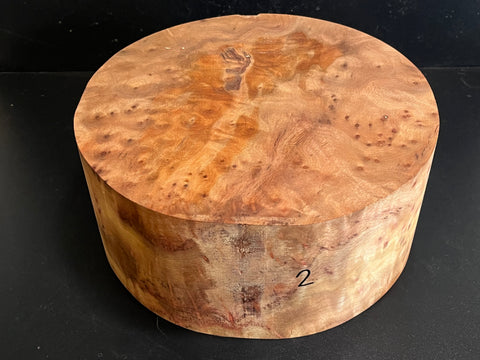 10"x4.5" Camphor Burl Wood Bowl Turning Blank (#002)