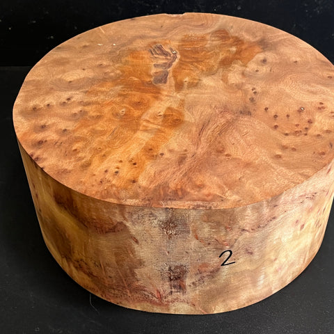 10"x4.5" Camphor Burl Wood Bowl Turning Blank (#002)