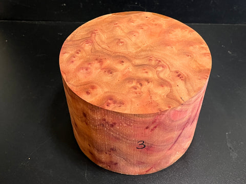 7"x5" Camphor Burl Wood Bowl Turning Blank (#003)