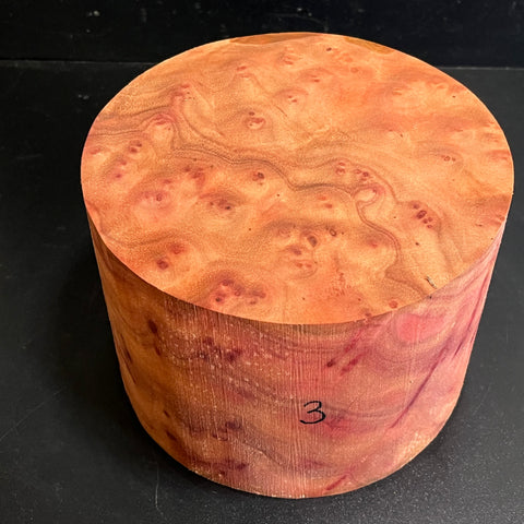 7"x5" Camphor Burl Wood Bowl Turning Blank (#003)