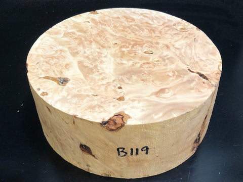 9"x3" KD Maple Burl Wood Bowl Turning Blank (#00119)