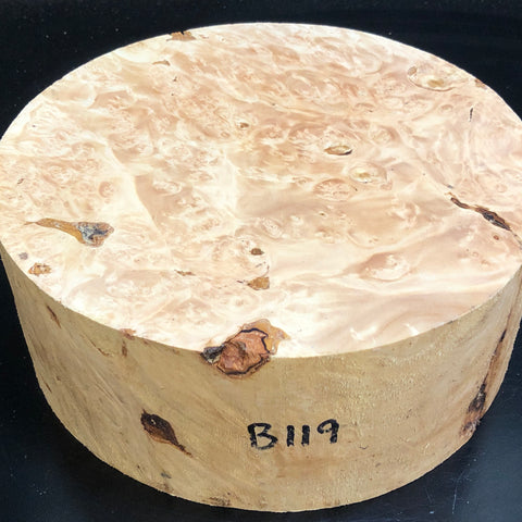 9"x3" KD Maple Burl Wood Bowl Turning Blank (#00119)