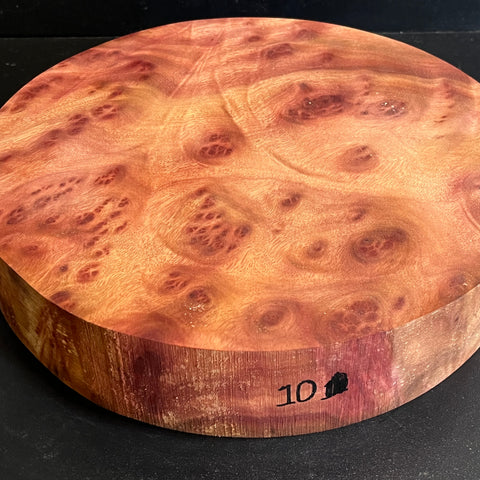 11"x2.25" Camphor Burl Wood Bowl Turning Blank (#0010)