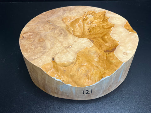 10"x3" KD Maple Burl Wood Bowl Turning Blank (#00121)