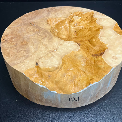 10"x3" KD Maple Burl Wood Bowl Turning Blank (#00121)