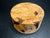 6"x3" KD Maple Burl Wood Bowl Turning Blank (#00125)