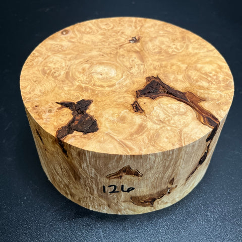 6"x3" KD Maple Burl Wood Bowl Turning Blank (#00126)