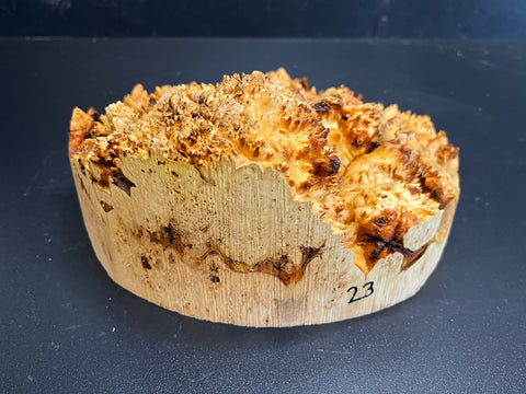 9x4 (max height) KD Live Edge Maple Burl Wood Bowl Blank (#0023)