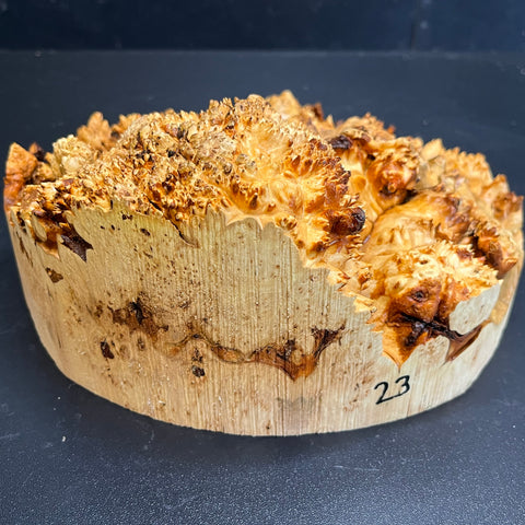 9x4 (max height) KD Live Edge Maple Burl Wood Bowl Blank (#0023)