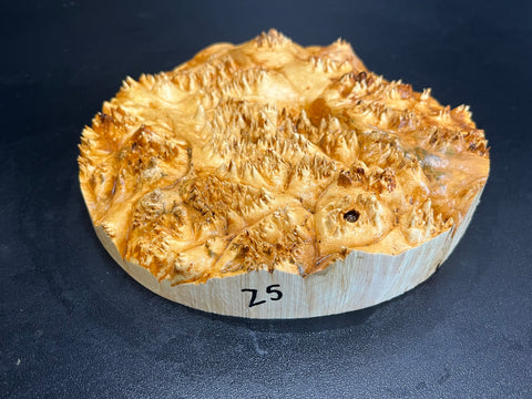 7x1.5 (max height) KD Live Edge Maple Burl Wood Bowl Blank (#0025)