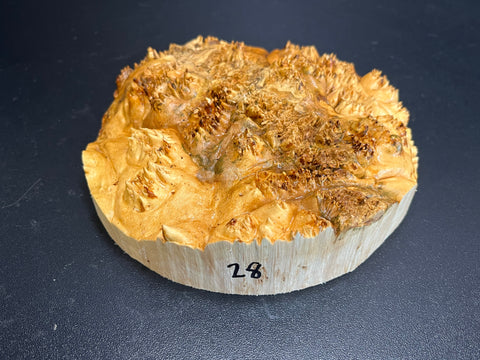 6x1.5 (max height) KD Live Edge Maple Burl Wood Bowl Blank (#0028)