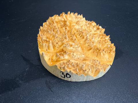 4x1.5 (max height) KD Live Edge Maple Burl Wood Bowl Blank (#0030)