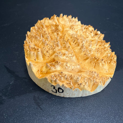 4x1.5 (max height) KD Live Edge Maple Burl Wood Bowl Blank (#0030)