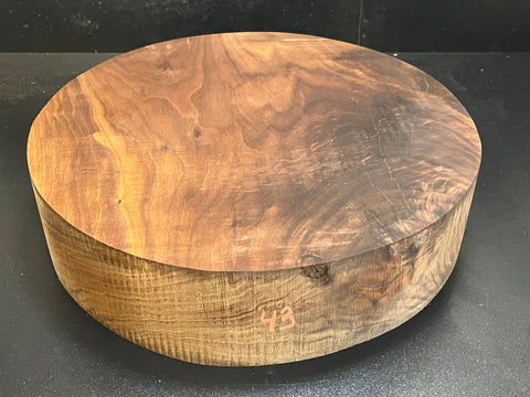 15"x4" KD Lightly Figured MONSTER Black Walnut Wood Bowl Turning Blank (#0043)