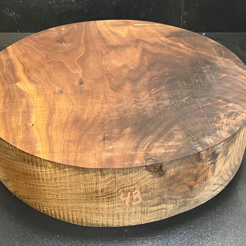 15"x4" KD Lightly Figured MONSTER Black Walnut Wood Bowl Turning Blank (#0043)