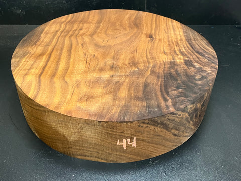 15"x4" KD Lightly Figured MONSTER Black Walnut Wood Bowl Turning Blank (#0044)
