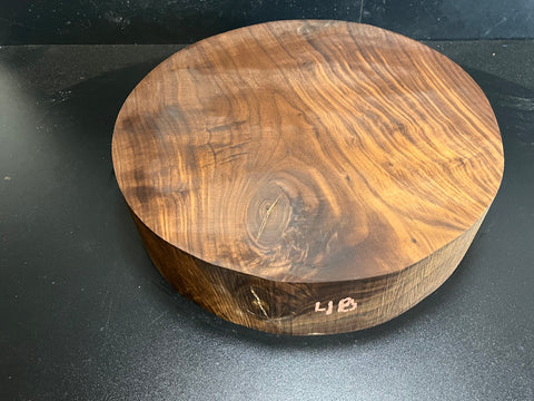 15"x4" KD Lightly Figured MONSTER Black Walnut Wood Bowl Turning Blank (#0048)