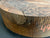 15"x4" KD Lightly Figured MONSTER Black Walnut Wood Bowl Turning Blank (#0049)