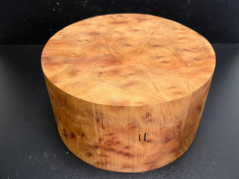 9"x5" Camphor Burl Wood Bowl Turning Blank (#0011)