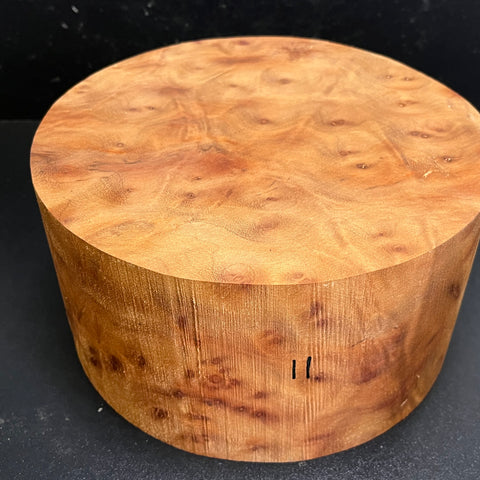 9"x5" Camphor Burl Wood Bowl Turning Blank (#0011)