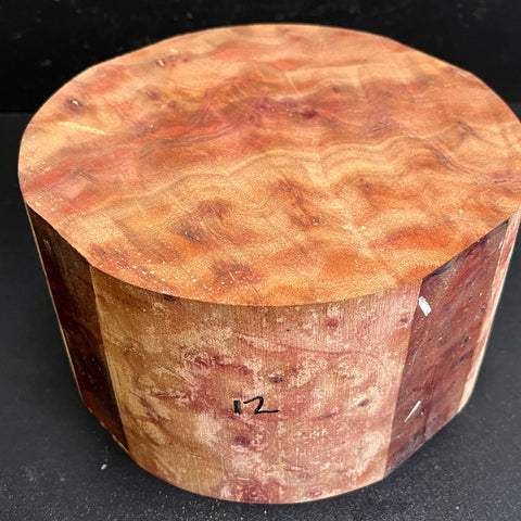 8x4.5 Camphor Burl Wood Bowl Turning Blank (#0012)