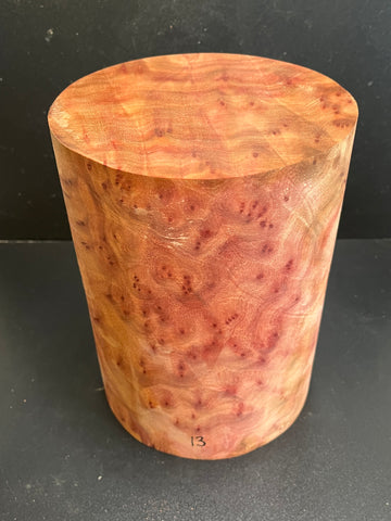 7x9.5 Camphor Burl Wood Bowl Turning Blank (#0013)