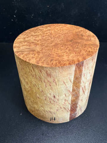 6"x6" Camphor Burl Wood Bowl Turning Blank (#0014)