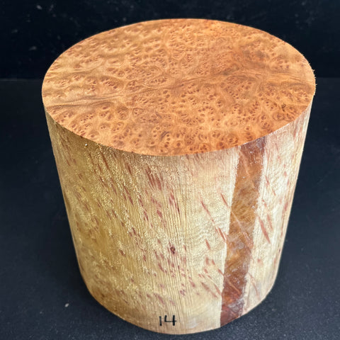 6"x6" Camphor Burl Wood Bowl Turning Blank (#0014)