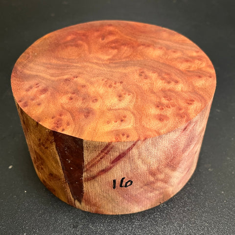 5x2.5 Camphor Burl Wood Bowl Turning Blank (#0016)